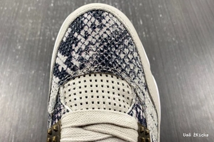 Jordan SportInspired Retro 488 4  819139 030 Snakeskin  1016